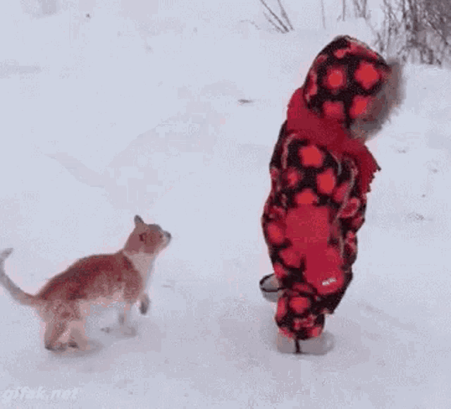 Oh No GIF