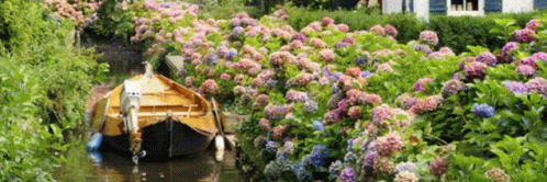 Garden Cottagecore GIF - Garden Cottagecore GIFs