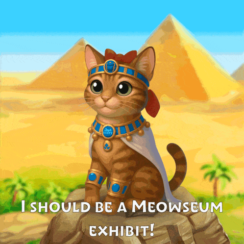 a cat sitting on a rock with the words i should be a meowseum exhibit on the bottom