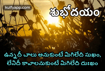 a picture of a sunset in a field with a foreign language caption