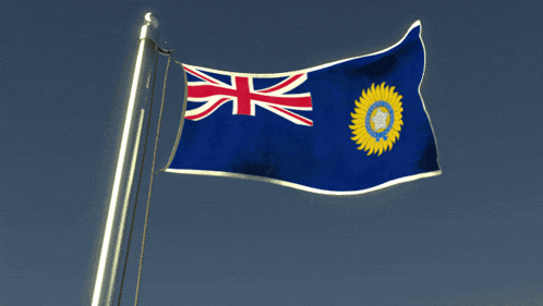 a blue flag with a yellow circle on it