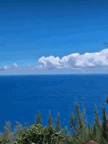 a person wearing sunglasses stands on a cliff overlooking the ocean