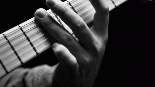 Playing Guitar Jared Dines GIF - Playing Guitar Jared Dines Solo Guitar GIFs