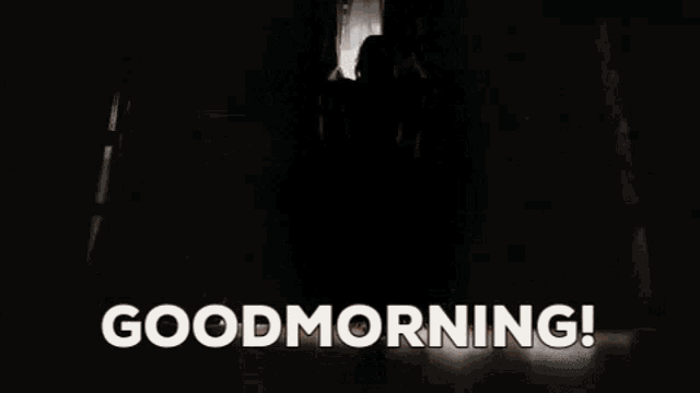 Goodmorning Goedemorgen GIF - Goodmorning Goedemorgen Newday GIFs