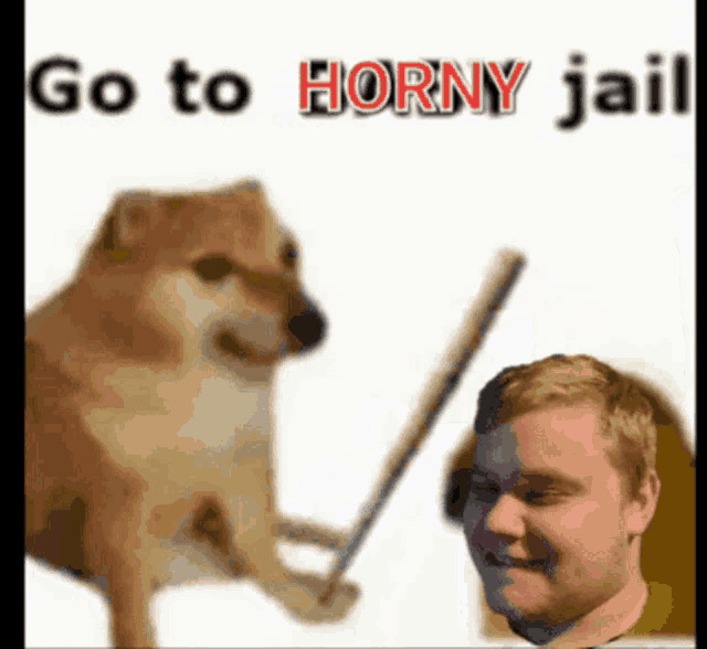 a picture of a dog holding a bat next to a man with the words go to horny jail