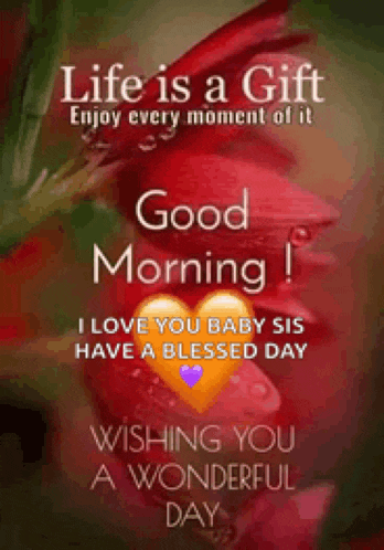 life is a gift enjoy every moment of it good morning i love your baby sis have a blessed day wishing you a wonderful day