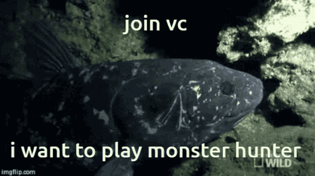 a picture of a fish with the words join vc i want to play monster hunter below it