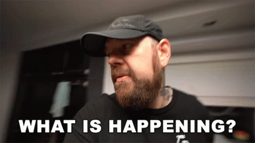 What Is Happening Ohitsteddy GIF - What Is Happening Ohitsteddy Hows It Going GIFs