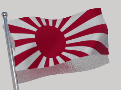 a red and white flag with a sun in the center