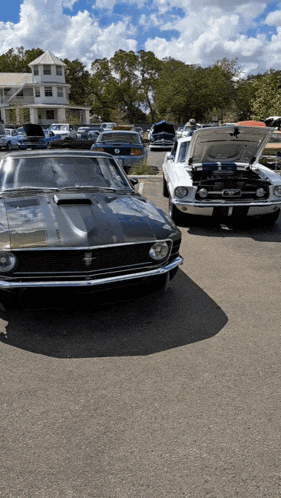 a black mustang is parked next to a white mustang with its hood open