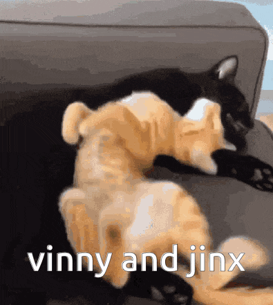 two cats are laying on top of each other on a couch with the words vinny and jinx above them