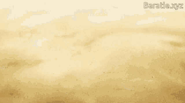 a picture of a person 's foot with the words baratie.xyz written below it