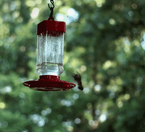 Bird Lamp GIF - Bird Lamp Light GIFs