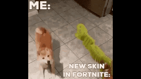 Dog Meme GIF - Dog Meme Fortnite GIFs