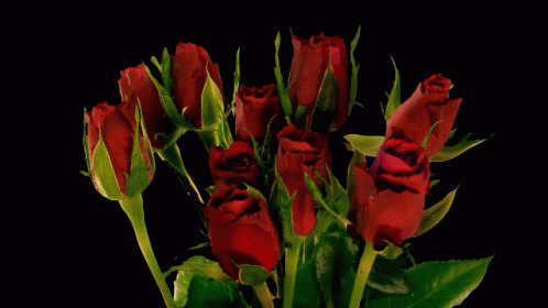 Roses Flowers GIF - Roses Flowers Greetings GIFs