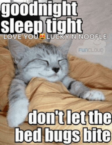 a cat is sleeping under a blanket with the words " goodnight sleep tight love you lucky n noofle " above it