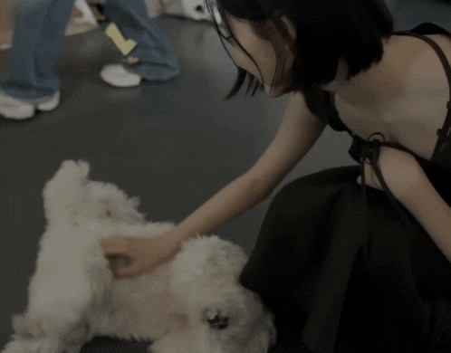 a woman petting a small white dog on a black floor