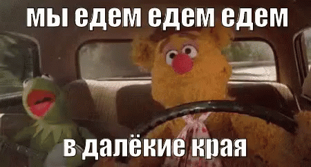 кермит улицасезам маппетс автомобиль поездка GIF - Kermit Muppets Avtomobil GIFs