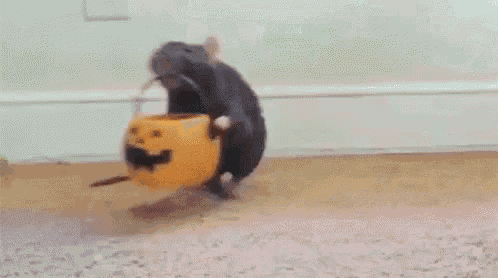 a mouse is carrying a pumpkin bucket with the words trick or treat written on it