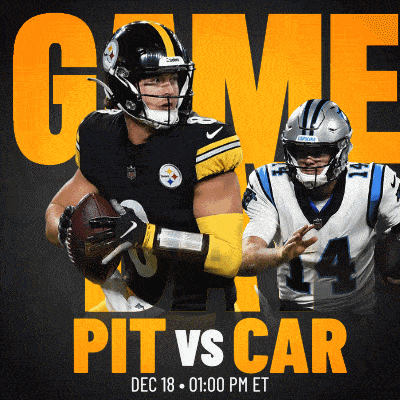 pittsburgh steelers and carolina panthers play a game on december 18
