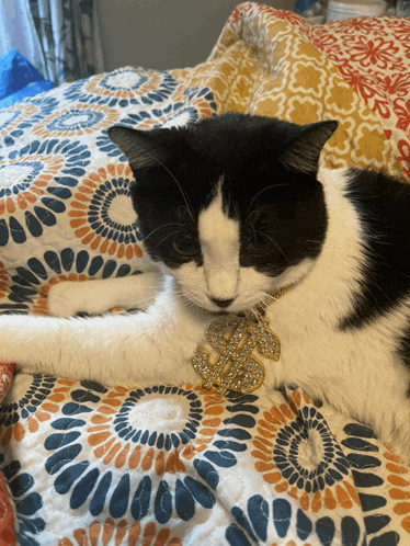 a black and white cat is laying on a bed with a gold dollar sign around its neck