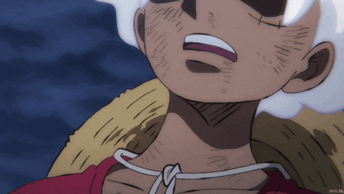 a close up of a person 's face with a straw hat