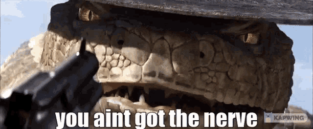 a picture of a snake with the words " you ain t got the nerve " on it