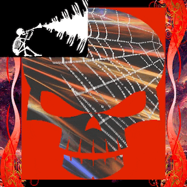 a skull with a spider web on it