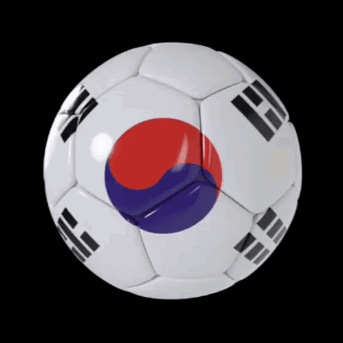 South Korea Flag GIF - South Korea Flag Ball GIFs