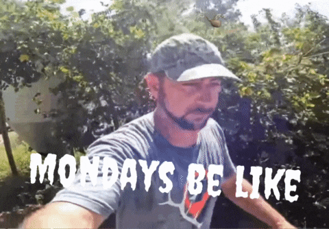 a man wearing a hat and a t-shirt says mondays be like
