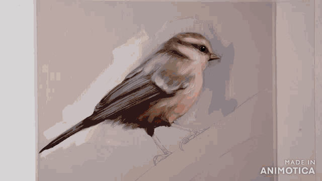 a person is painting a bird on a canvas with the words made in animotica on the bottom right