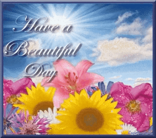 Good Morning Have A Beautiful Day GIF - Good Morning Have A Beautiful Day Flowers GIFs
