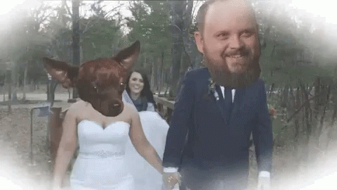 Puppy Love Wedding GIF - Puppy Love Wedding Bridezillas GIFs