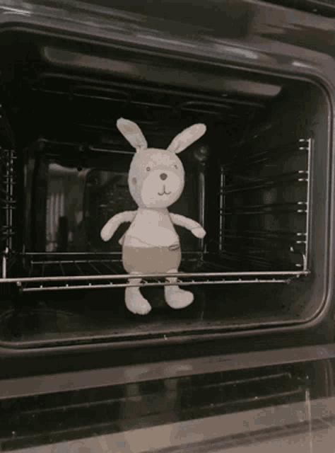 a stuffed bunny rabbit is sitting in an oven