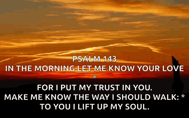 psalm 143 in the morning let me know your love make me know the way i should walk to you i lift up my soul