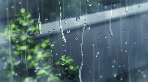 Kotonoha No Niwa Rain GIF