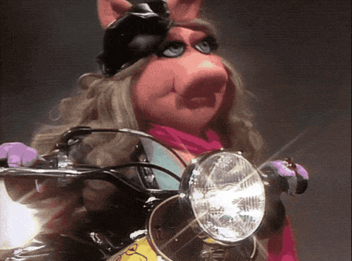 Muppets Muppet Show GIF - Muppets Muppet Show Miss Piggy GIFs