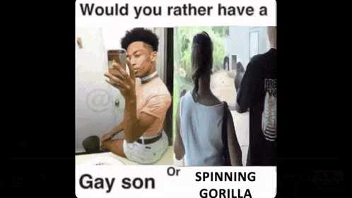 would you rather have a gay son or spinning gorilla ..
