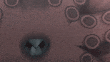 a close up of an octopus 's mouth with a x in the middle