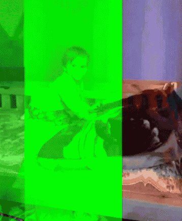 a green screen with a picture of a person and a cat