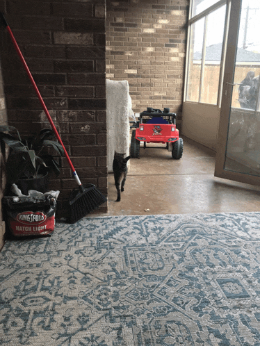 a bag of king foils match light sits on a rug next to a cat