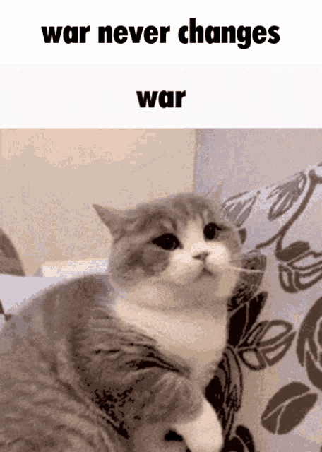 a cat sitting on a couch with the words war never changes war written above it