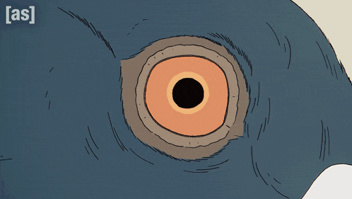 a close up of a person 's eye with the letters a and s visible