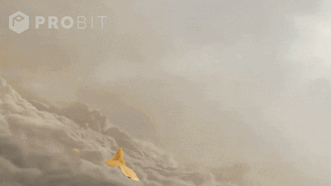 a probit logo can be seen in the background of a rocket flying through the air
