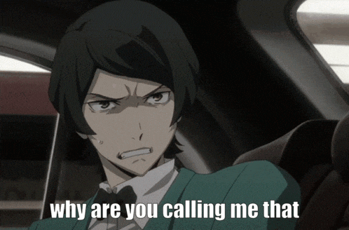 a man sitting in a car with the words why are you calling me that below him