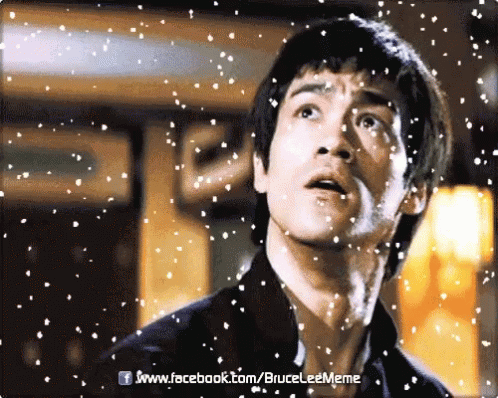 Brucelee Snow GIF - Brucelee Snow Snowing GIFs
