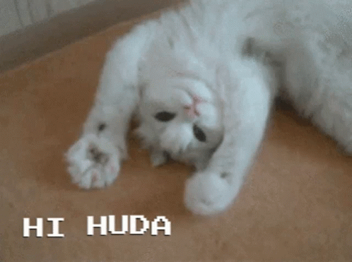 Hi Huda GIF - Hi Huda GIFs