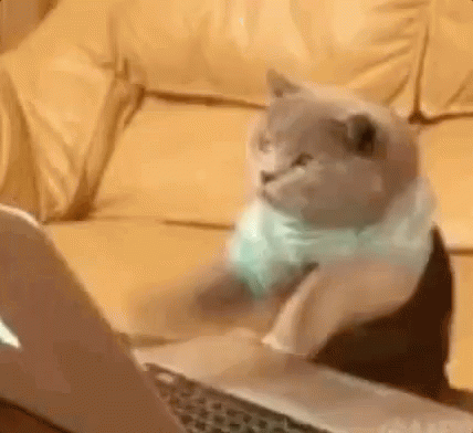 Gatinho Digitando No Laptop / Compartilhar Galera / Compartilha, Por Favor. / Compartilhar GIF - Cat Typing Kitten GIFs