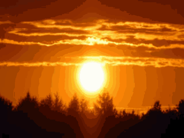 the sun is shining brightly in the sky above trees