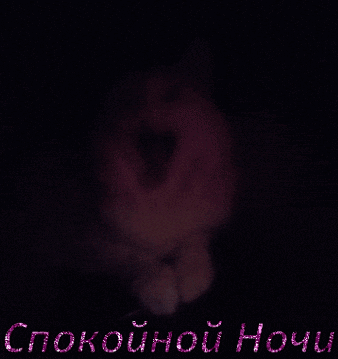 a purple background with the words спокойной ночи written in pink